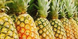 Fresh Pineapple
