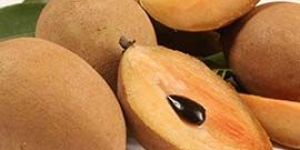Sapodilla( Chiku)