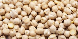 White Chickpeas