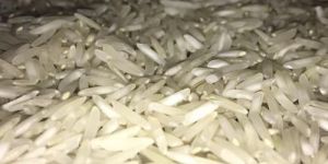 Rice 1121