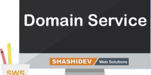 Domain Name Registration