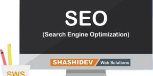 Seo Consultation Service