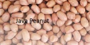 Java Peanuts