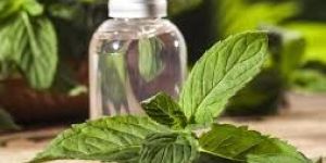 Peppermint Oil