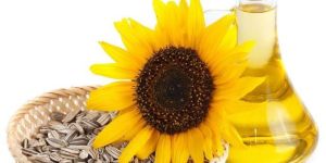 Sunflower Oil