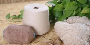 Organic Cotton Yarn