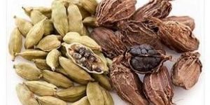 Cardamom