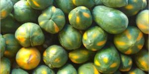 Natural Papaya Fruit
