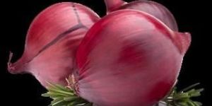 Fresh Red Onion