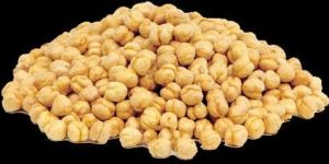 White Chickpeas
