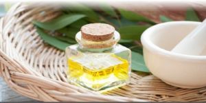 Eucalyptus Oil