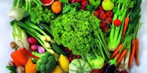 Fresh Vegetables