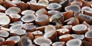 Coconut Copra