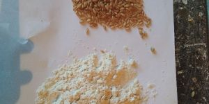 Wheat Flour
