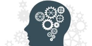 Silver Individual Self Awareness