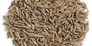 Cumin Seeds