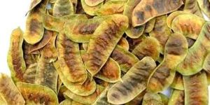 Senna Pods