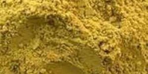 Senna Stem Powder