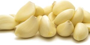 Fresh Garlic
