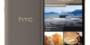 Htc e9s Roast Chestnut