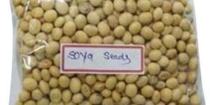 Fresh Soybean Seeds