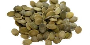 Pumpkin Seeds
