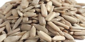 Sunflower Seeds