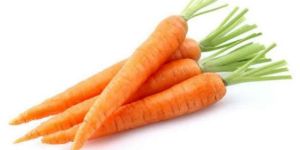 Fresh Carrot