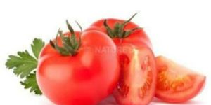Fresh Tomato