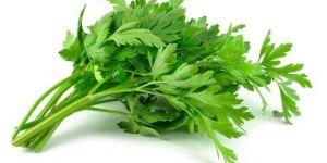 Parsley Leaves