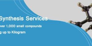 cGMP Organic Synthesis Services