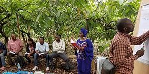 Farmer Training Services