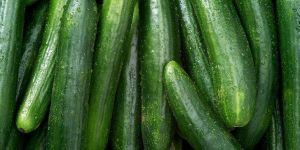 Fresh Cucumber