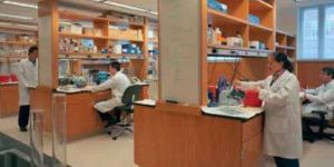 Laboratory Setup Consultancy Services