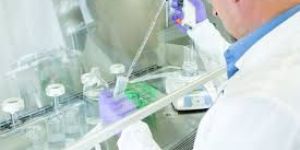 Micro Biology Testing