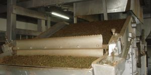 Tea Dryer Machine