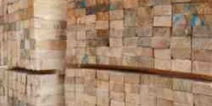 Silver Oak Wood Planks