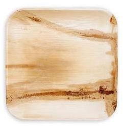 Areca Leaf Square Plate