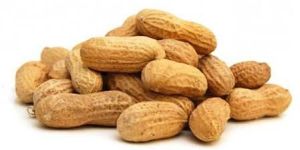 Groundnut