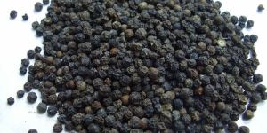 Black Pepper Seeds