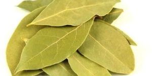 Bay Leaves