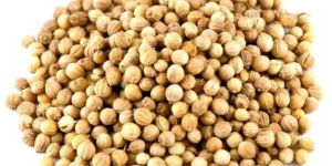 Coriander Seeds