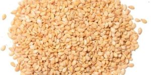 Sesame Seeds