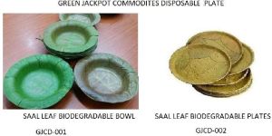 SAAL LEAF DISPOSABLE PLATES