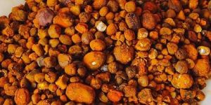 Cattle Gallstones