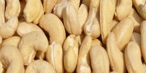 Dried Cashew Nuts