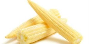 Fresh Baby Corn