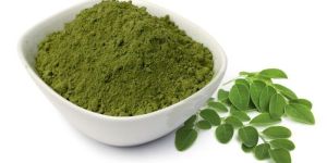 Moringa Leaves Powder
