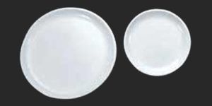 Acrylic Dinner Plate