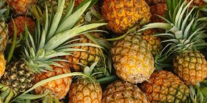 Fresh Pineapple